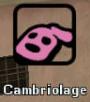 cambriolage